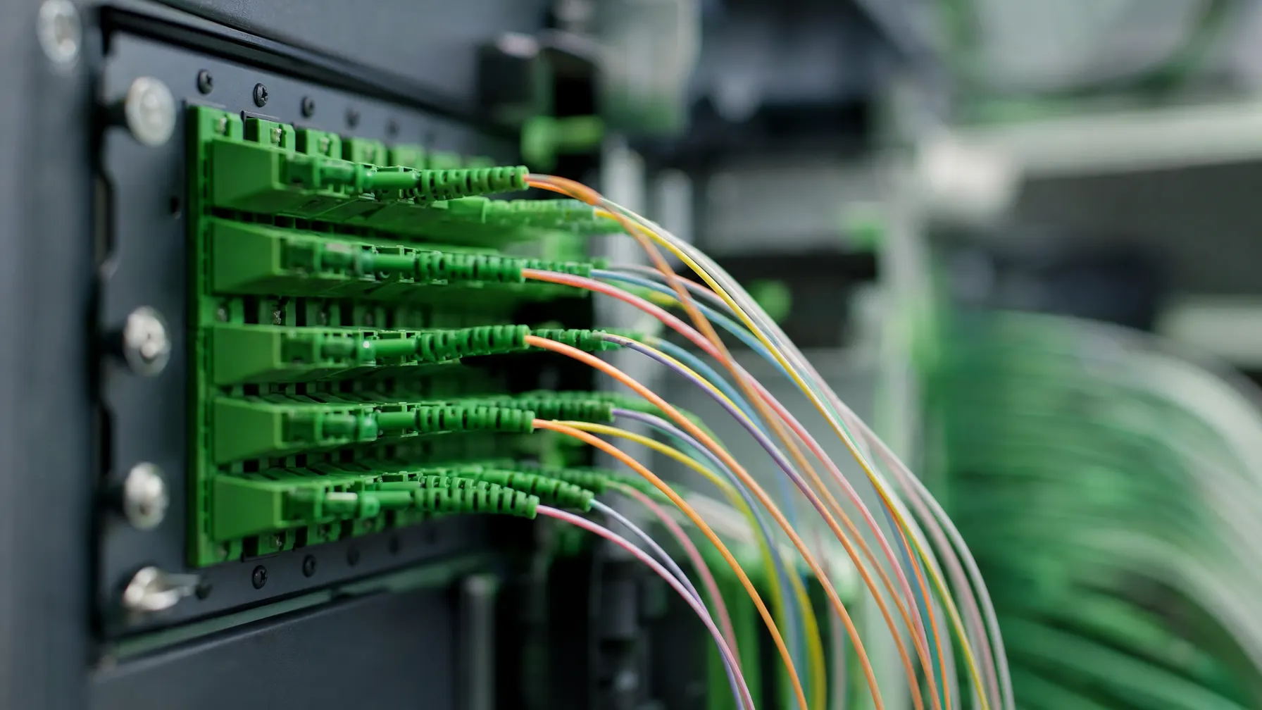Glasfaser-Patchpanel mit farbigen Lichtwellenleitern in Nahaufnahme